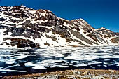 Parco del Monte Avic (Val d'Aosta), Gran Lac (2485 m).